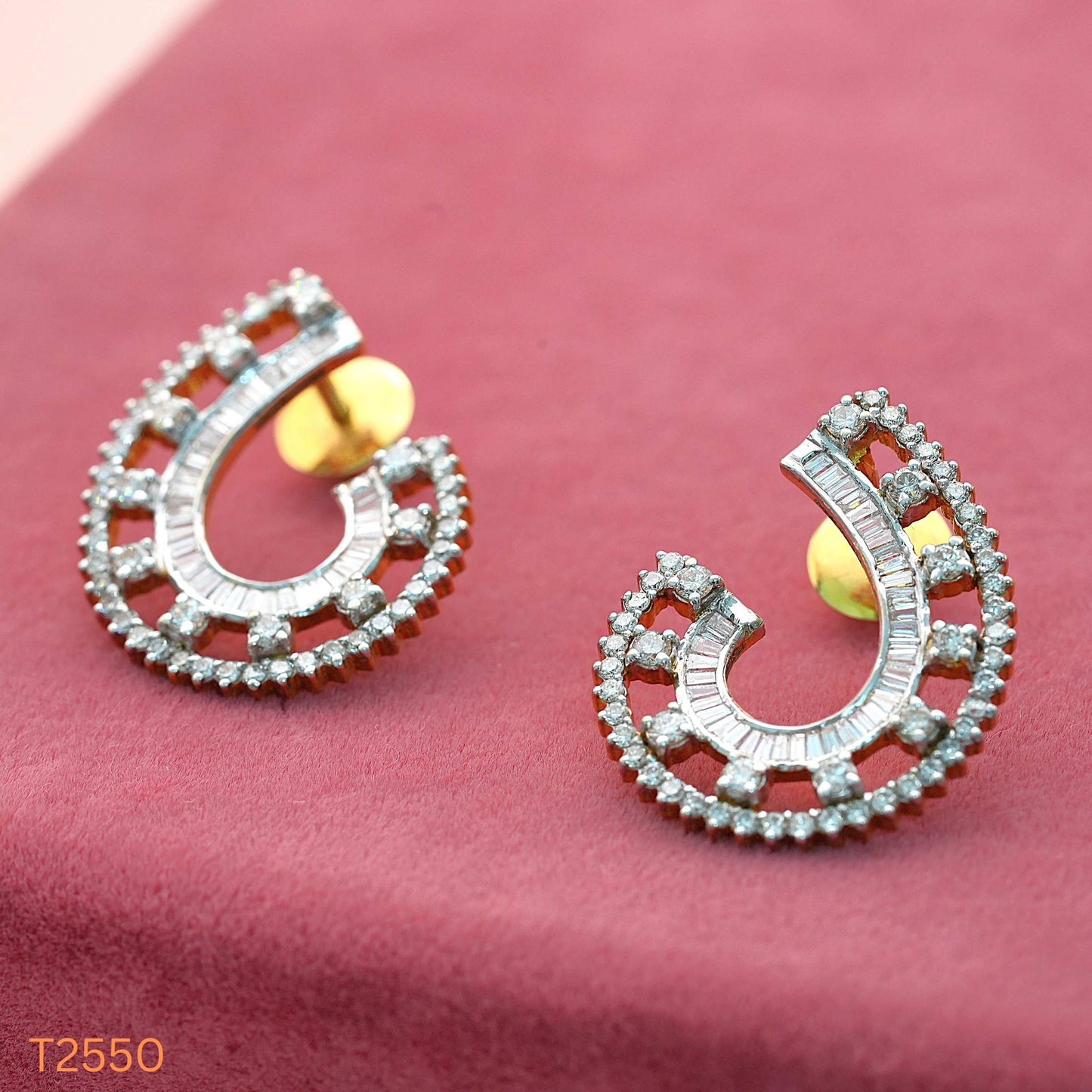 Earrings - T2550