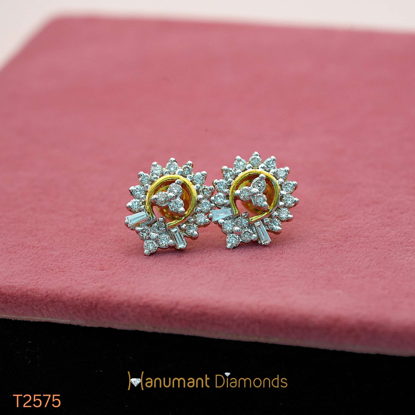 Earrings - T2575