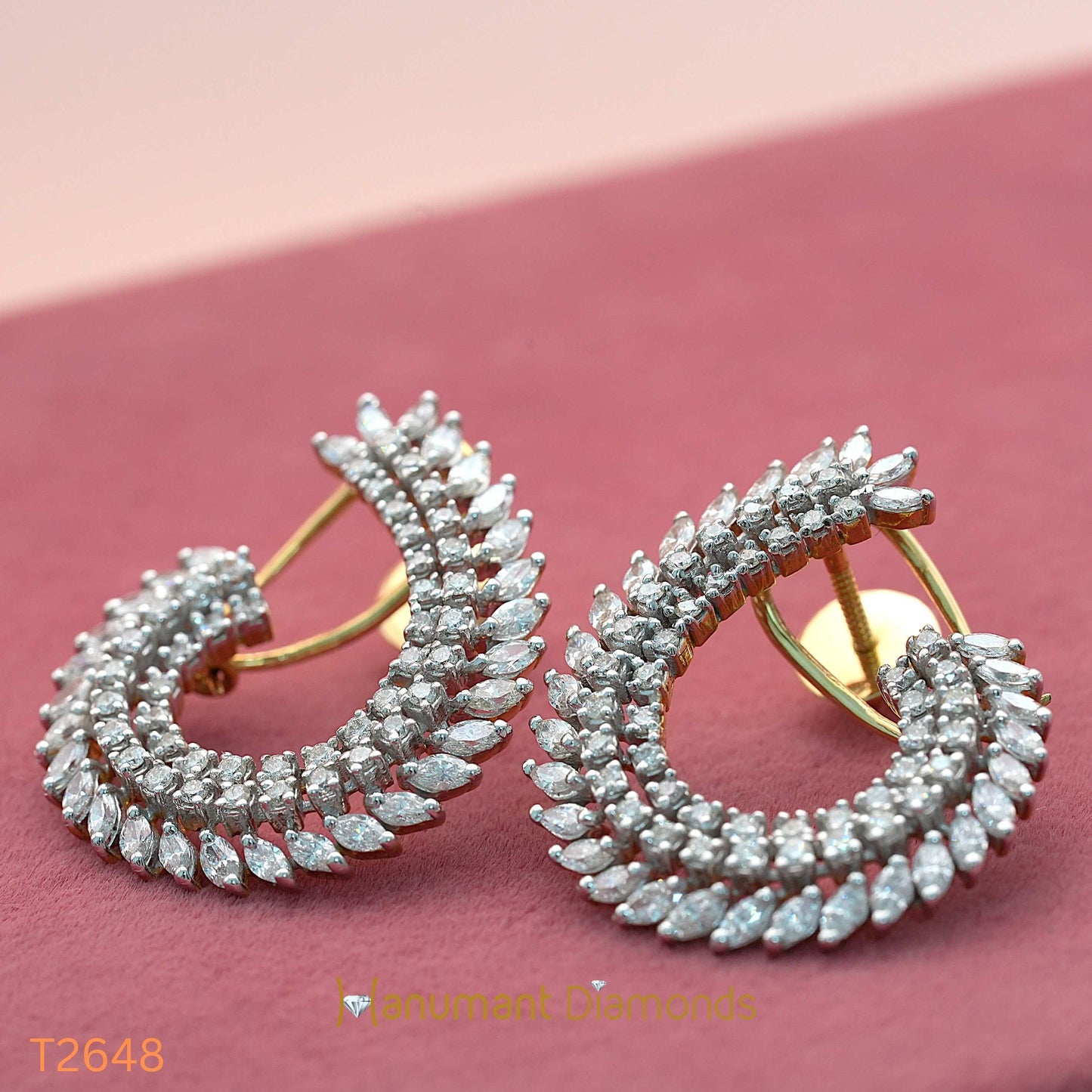 Earrings - T2648