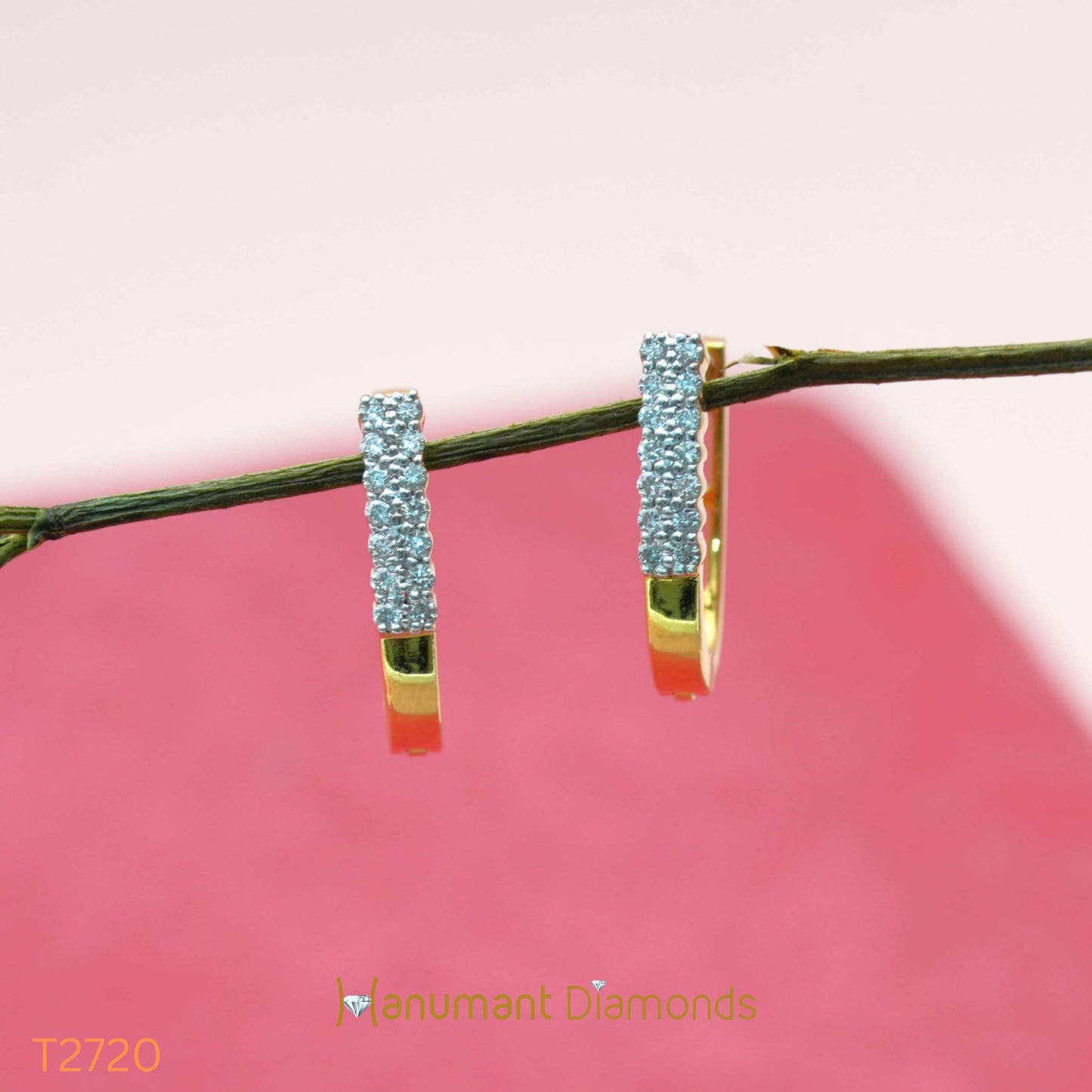 Earrings - T2720