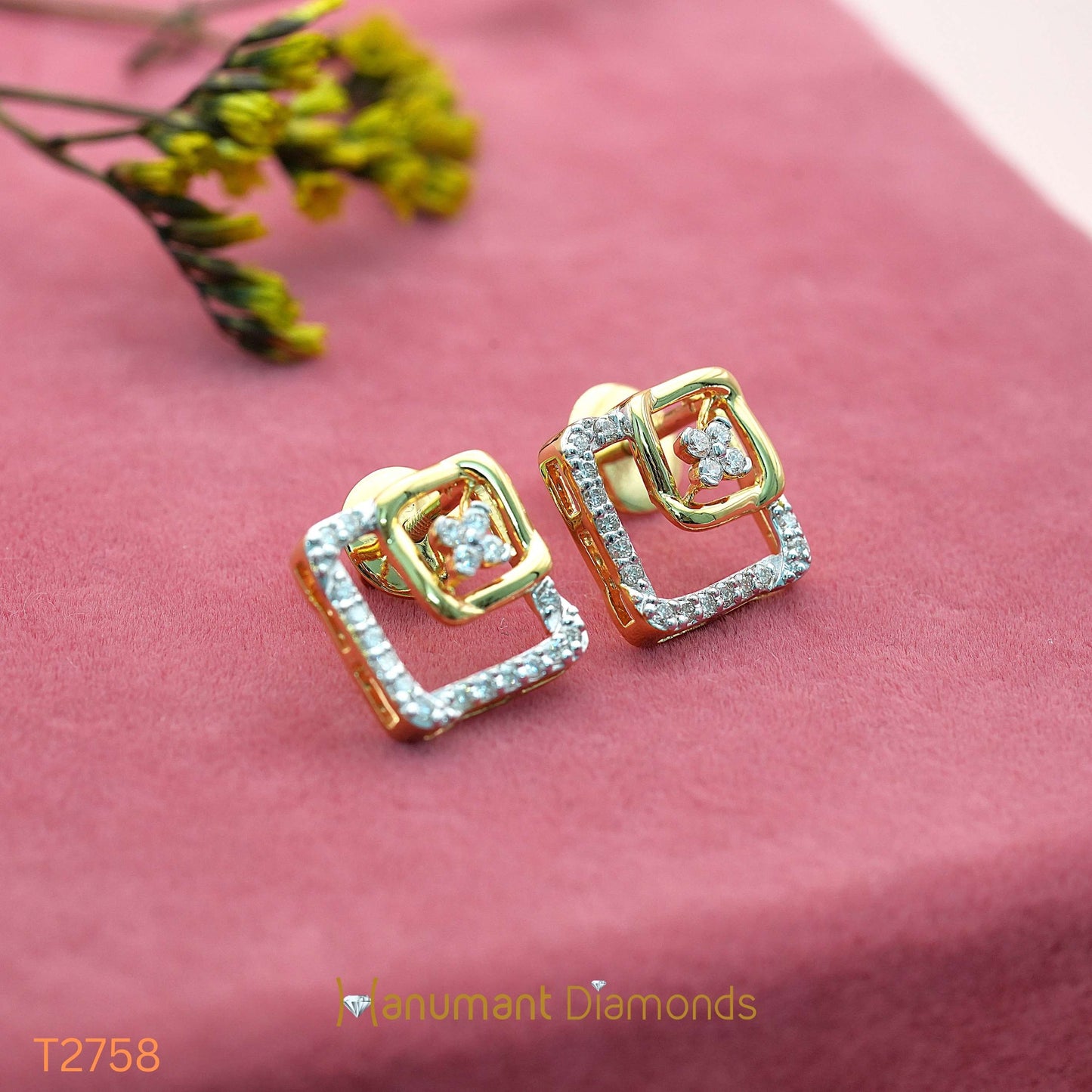 Earrings - T2758