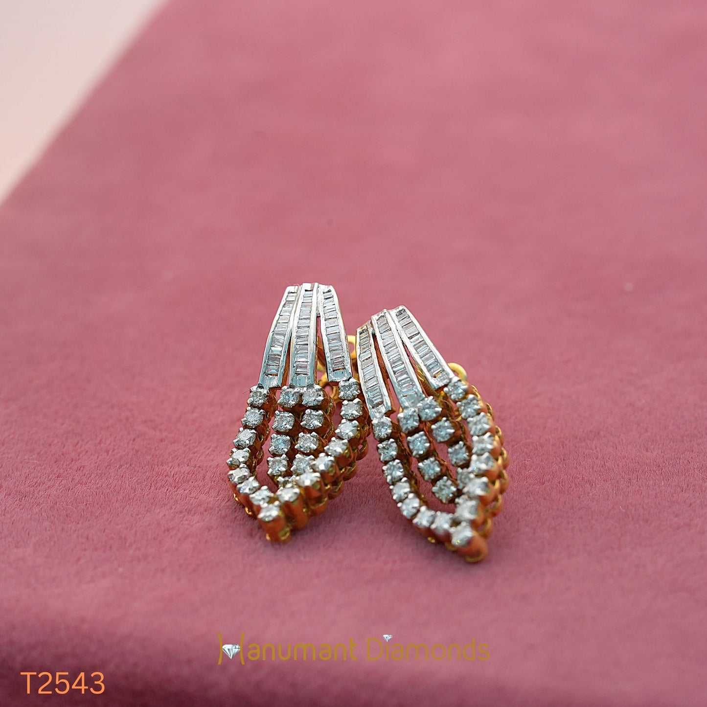 Earrings - T2543
