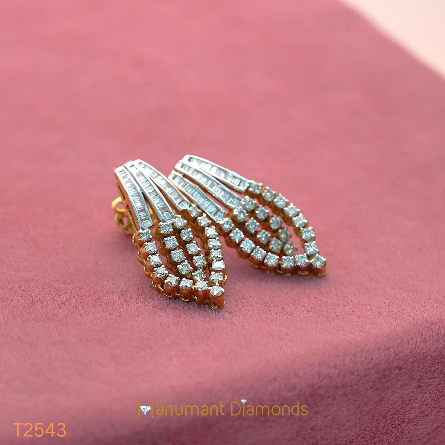 Earrings - T2543