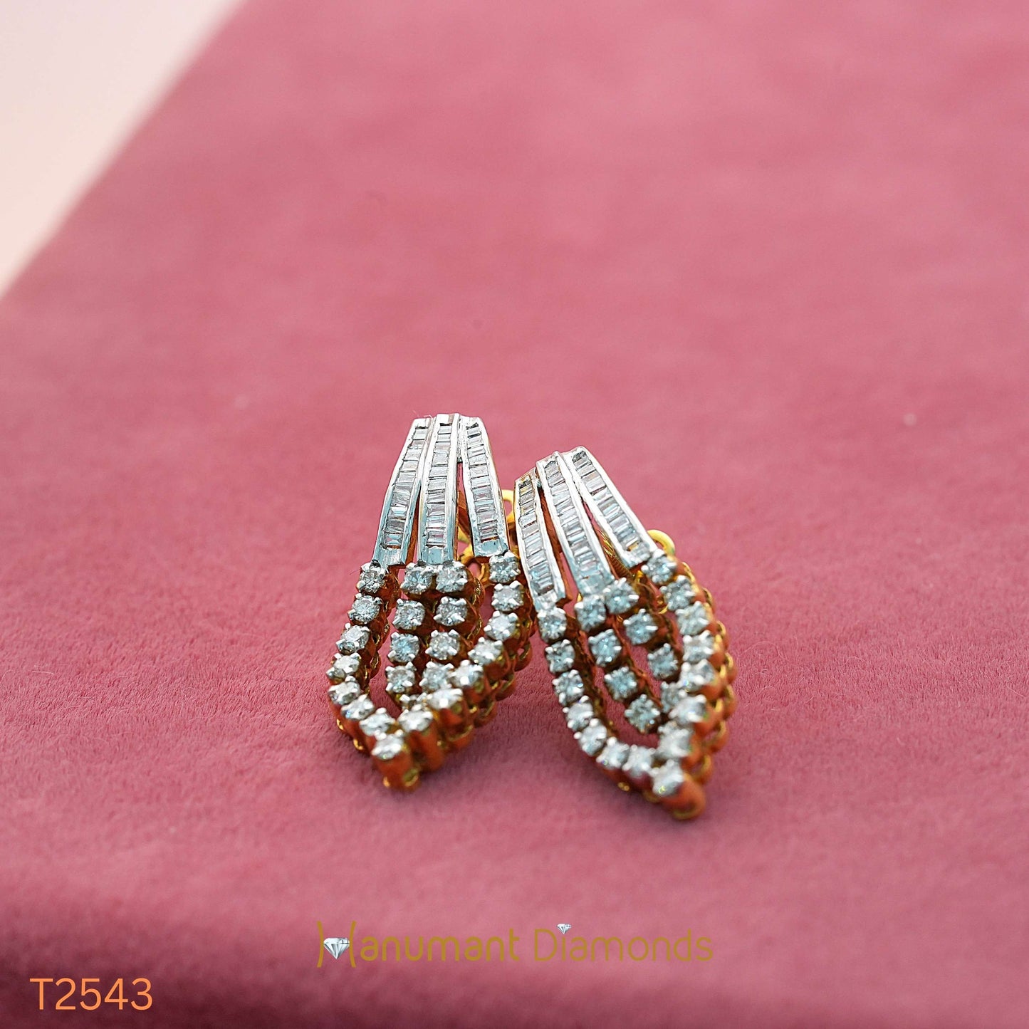 Earrings - T2543