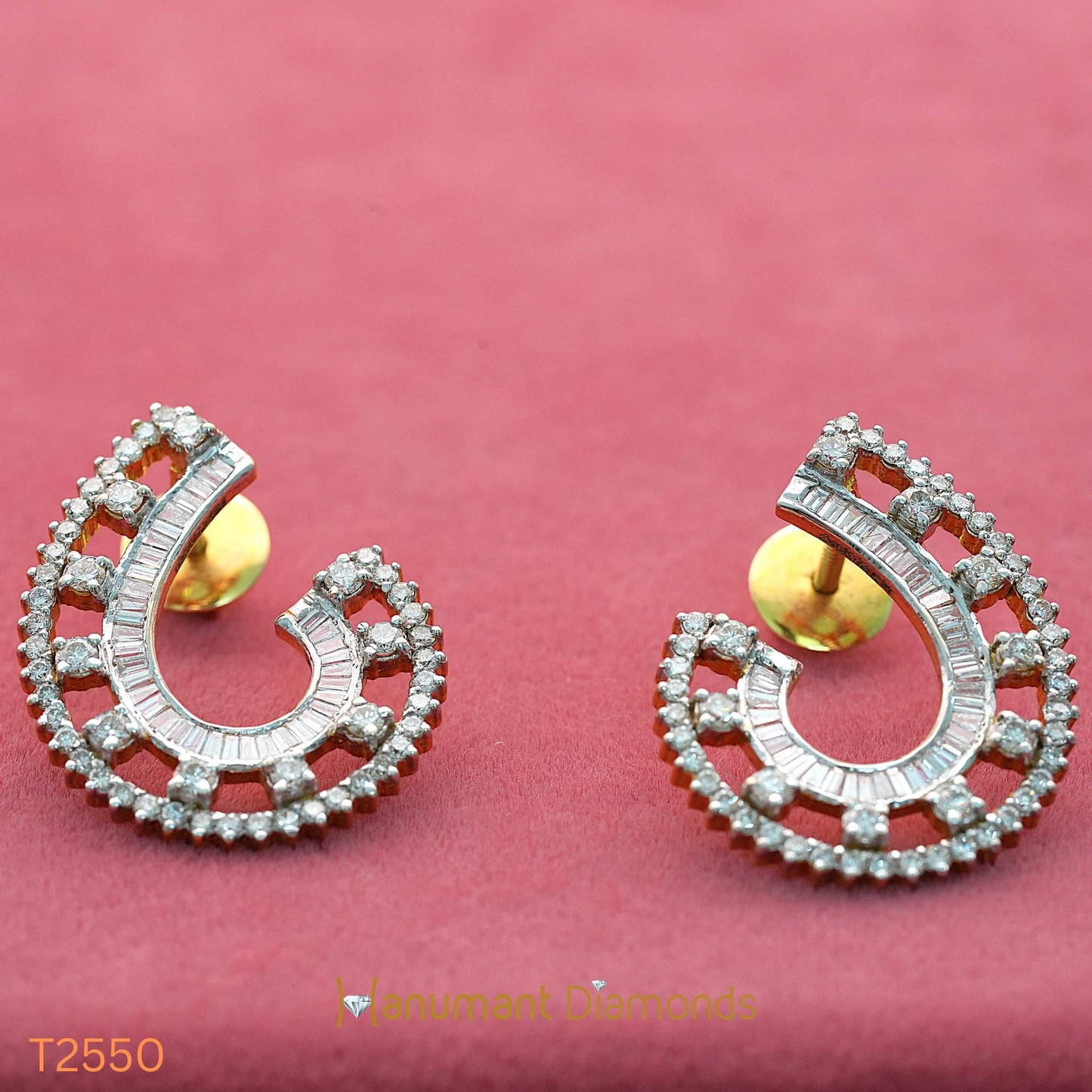 Earrings - T2550