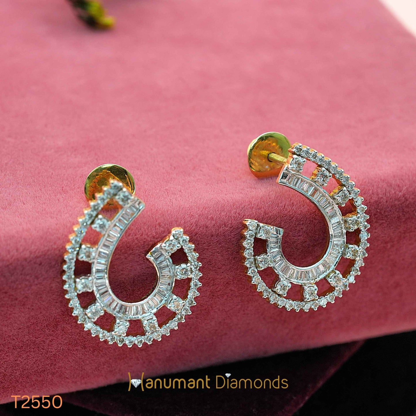 Earrings - T2550