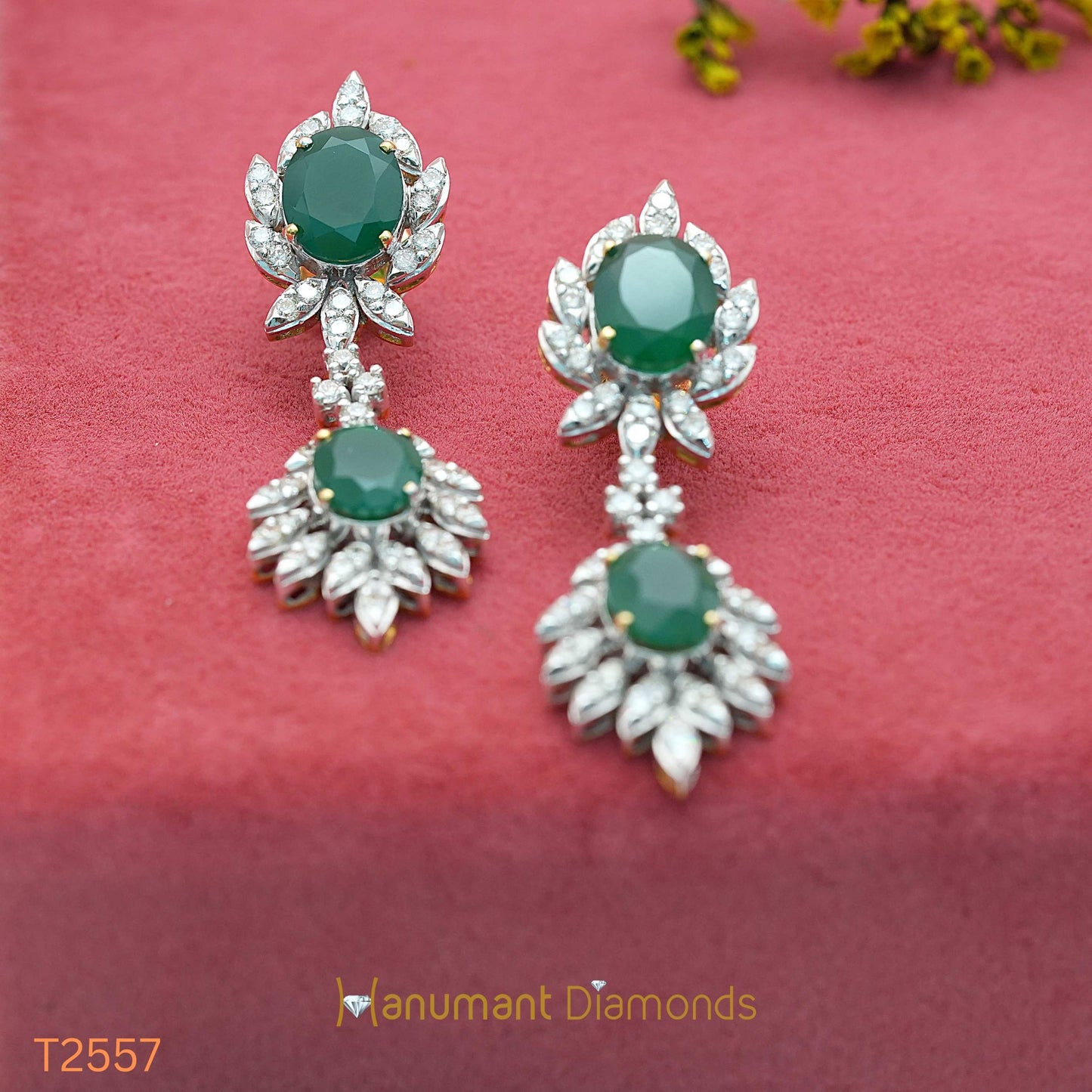 Earrings - T2557