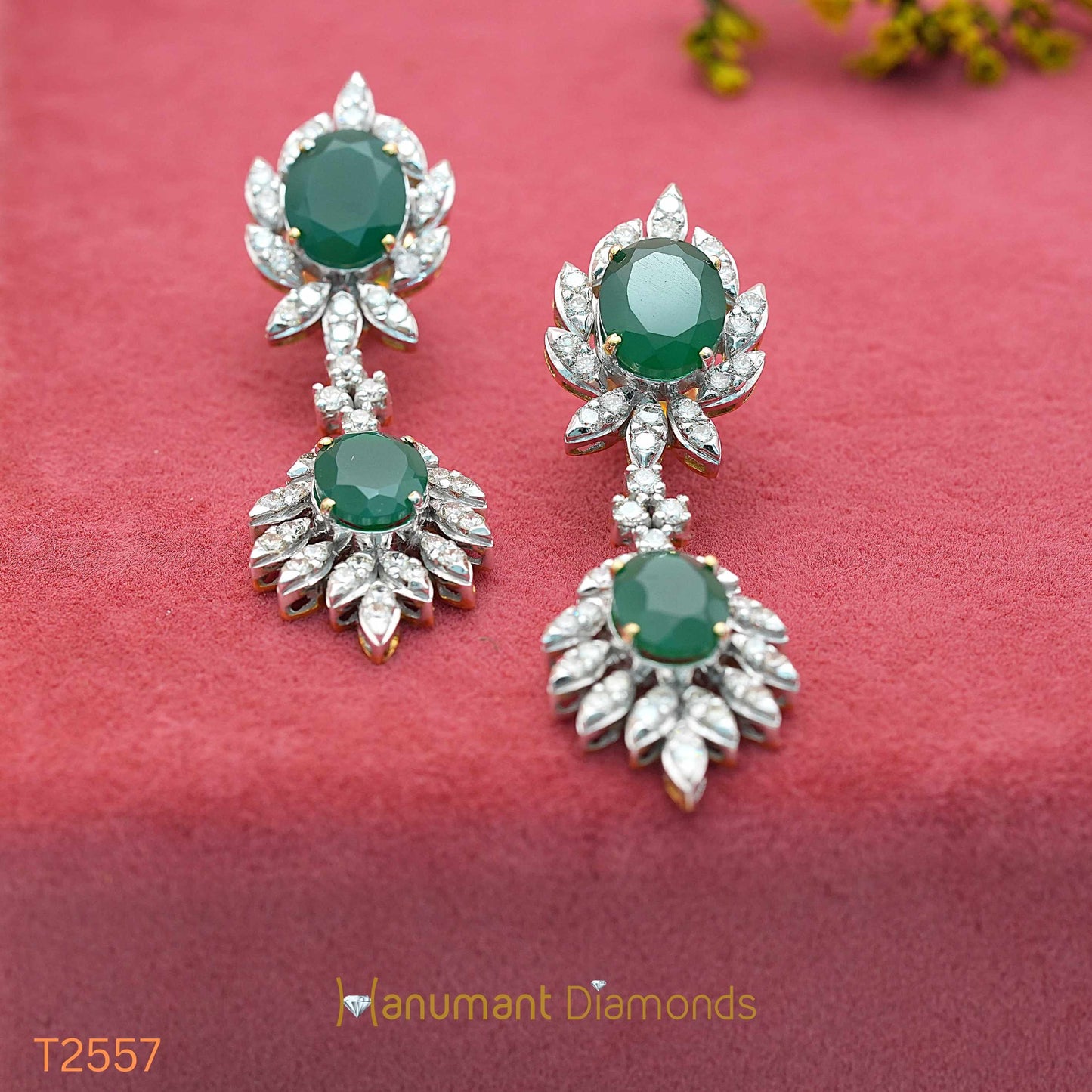Earrings - T2557