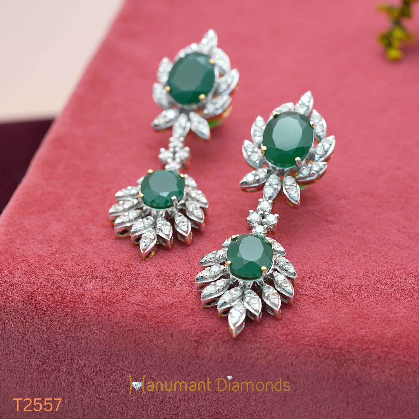 Earrings - T2557