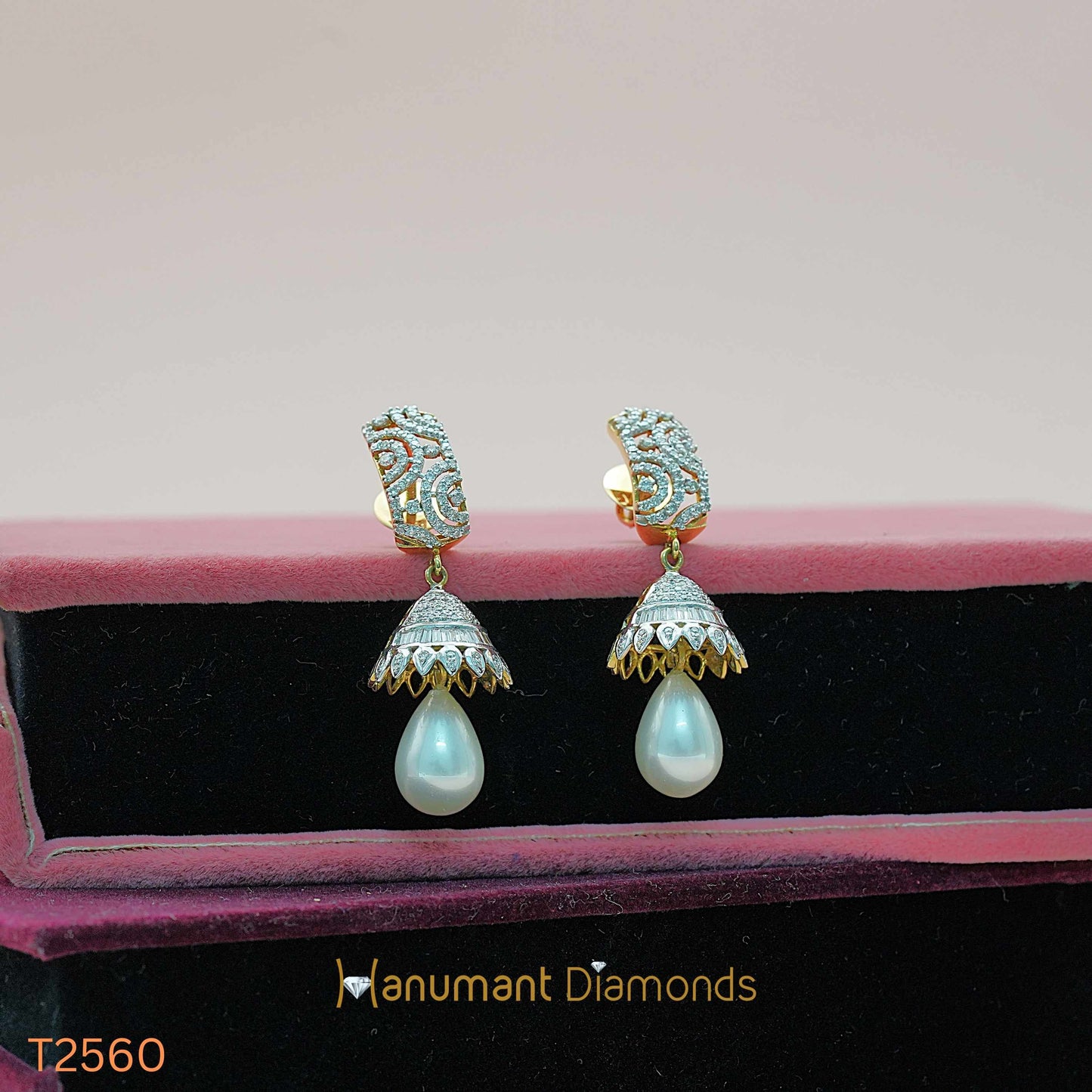 Earrings - T2560