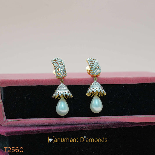 Earrings - T2560