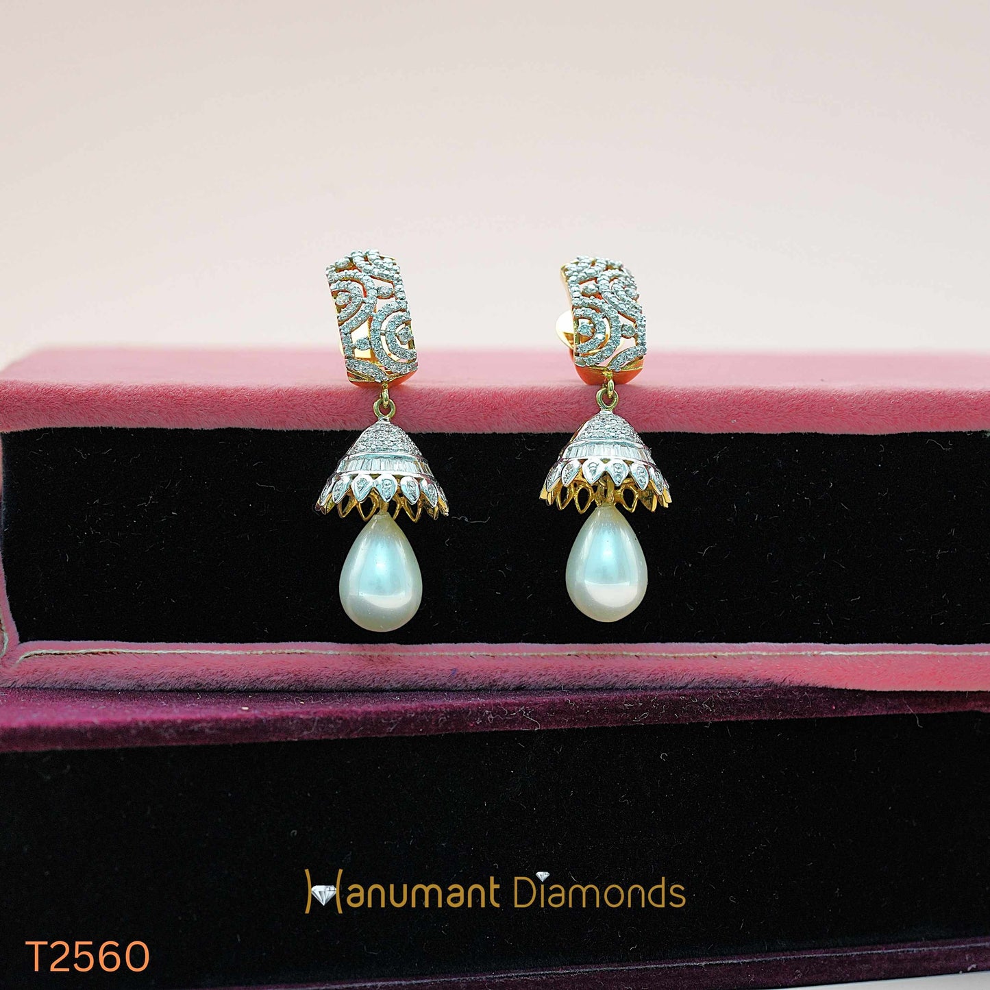 Earrings - T2560