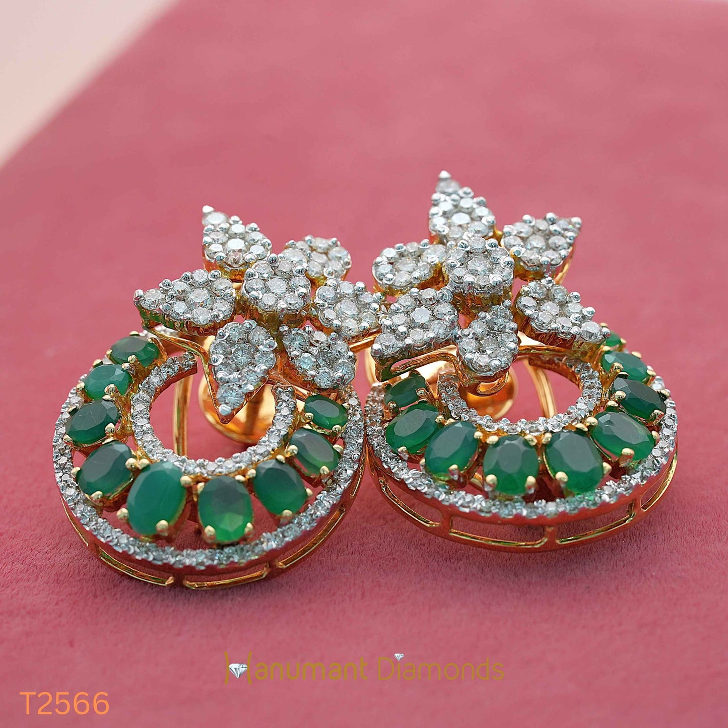 Earrings - T2566
