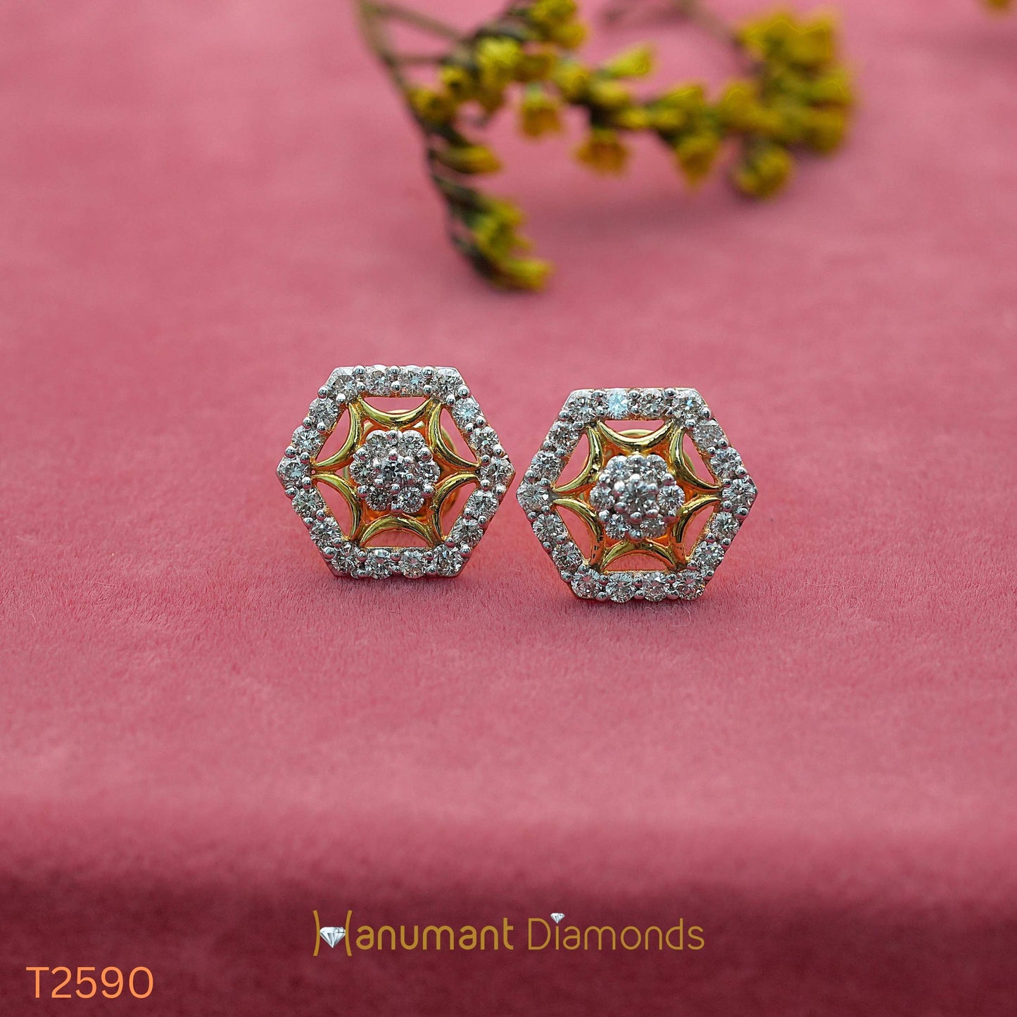 Earrings - T2590