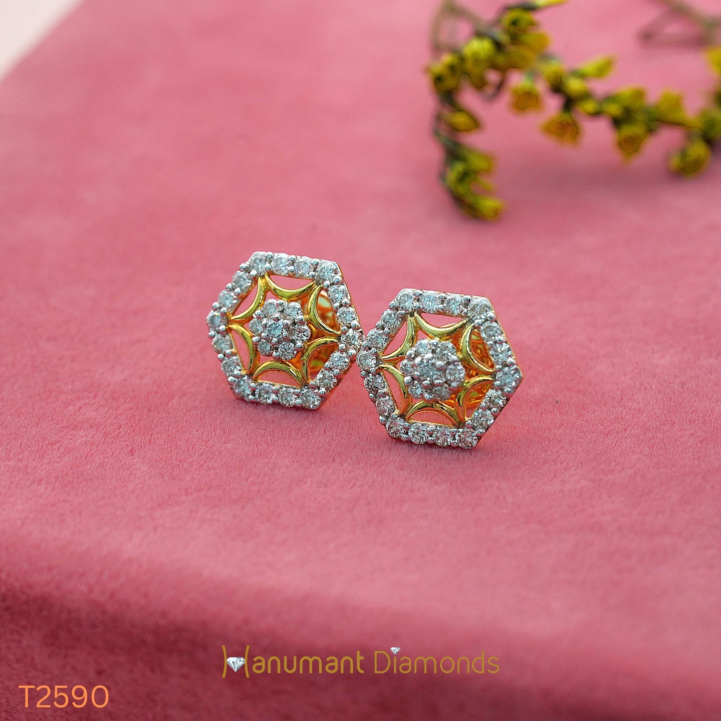 Earrings - T2590