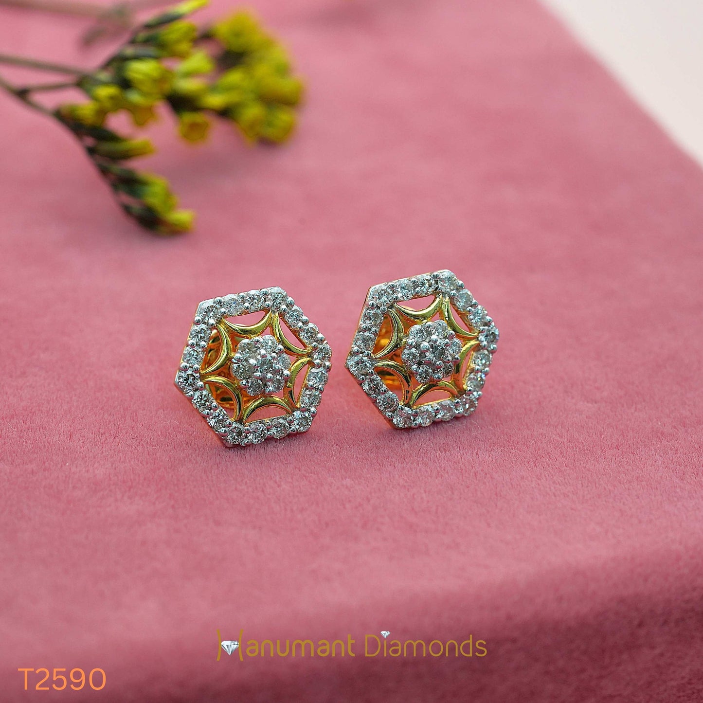 Earrings - T2590