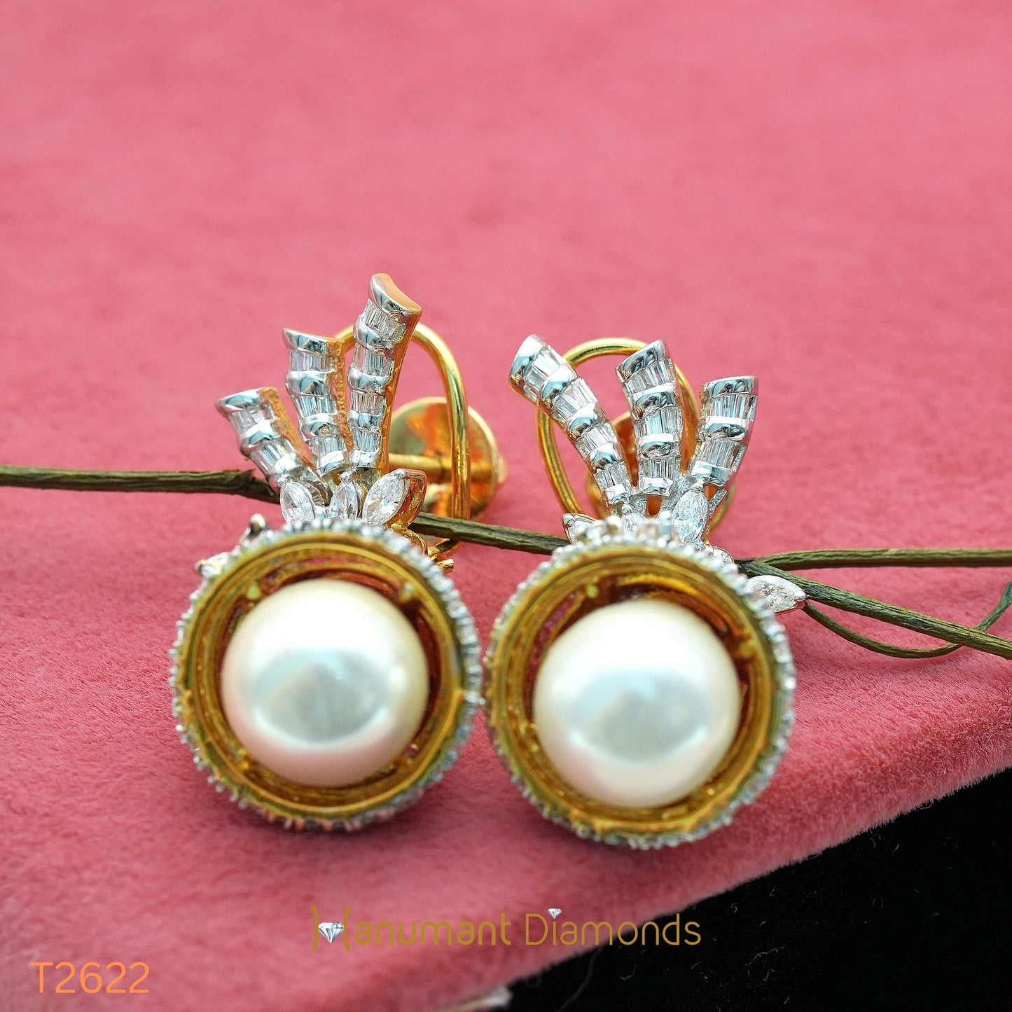Earrings - T2622