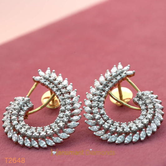 Earrings - T2648