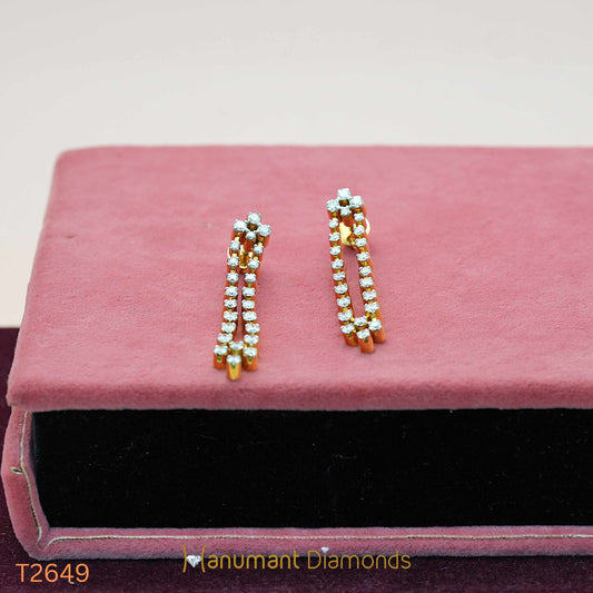 Earrings - T2649