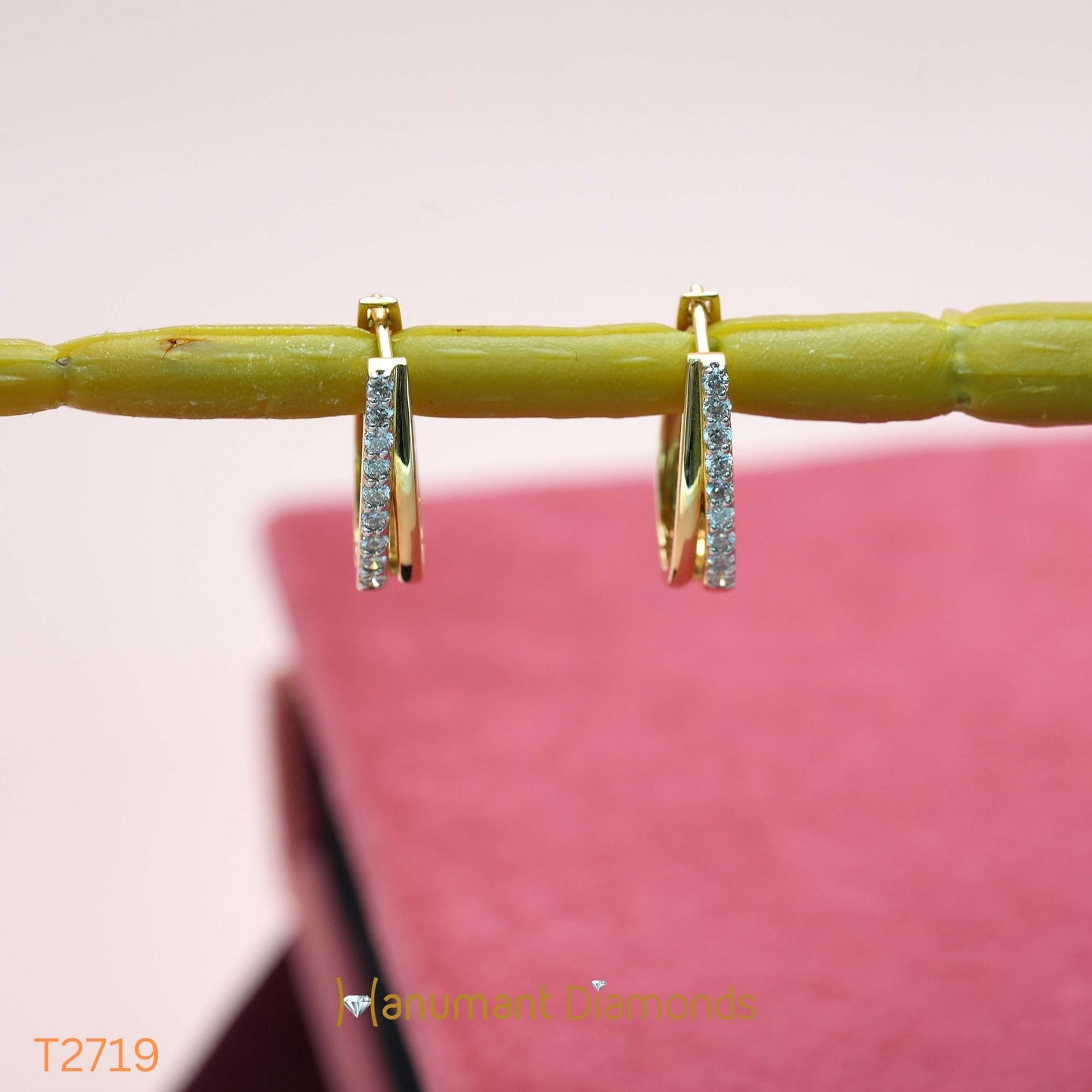 Earrings - T2719
