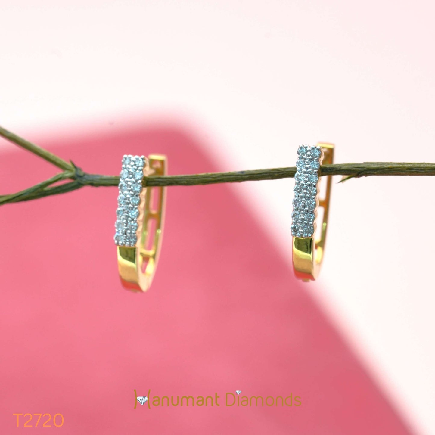 Earrings - T2720