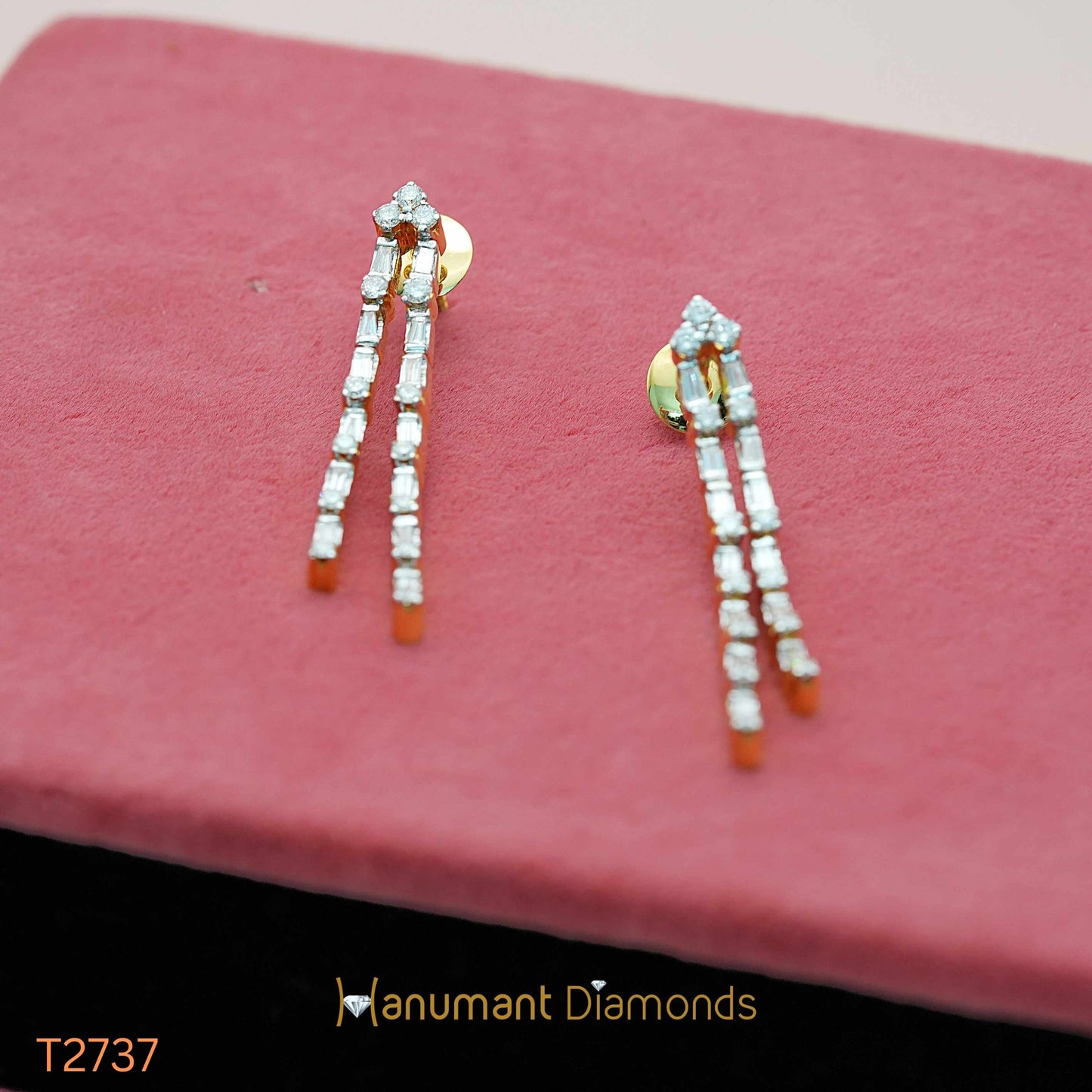 Earrings - T2737