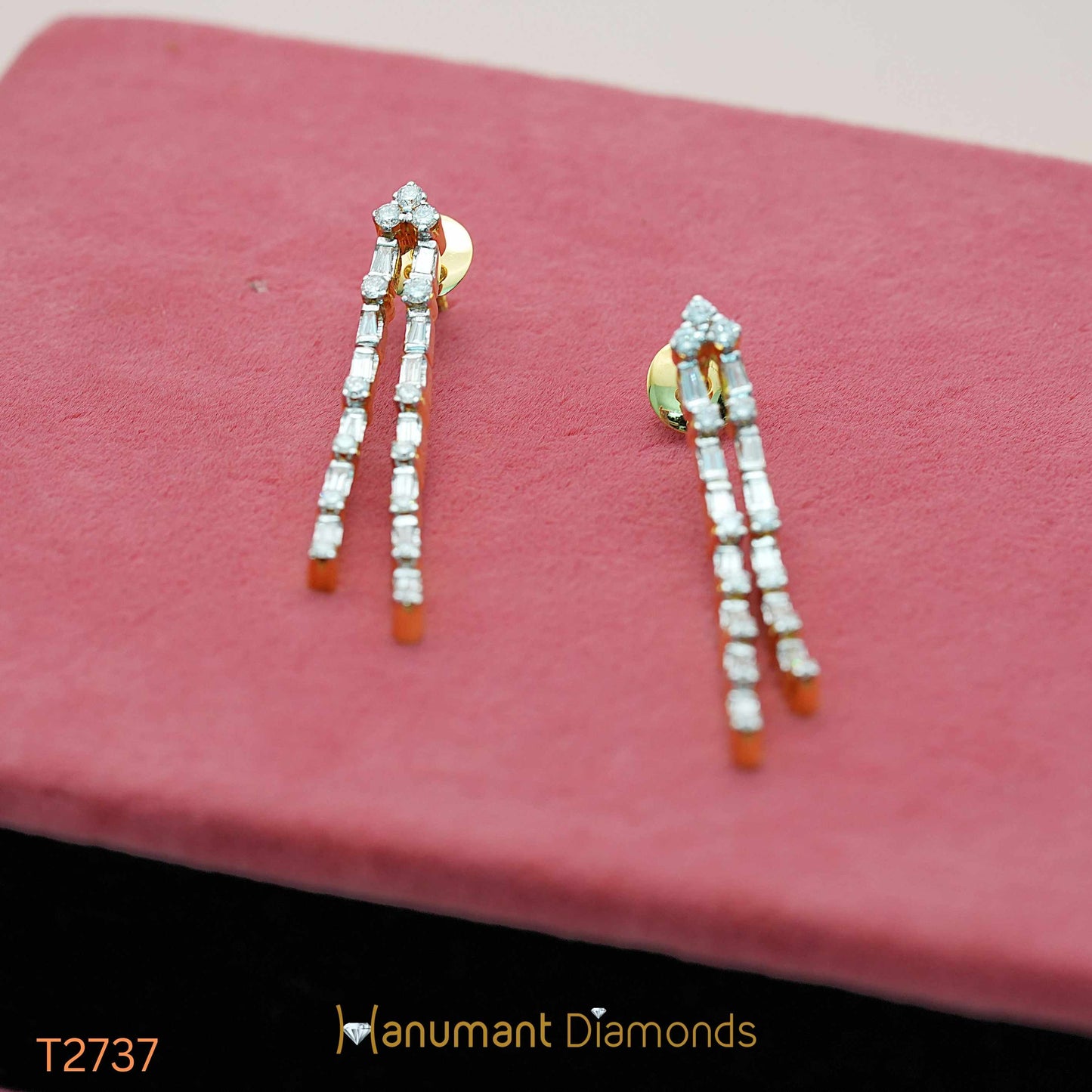 Earrings - T2737