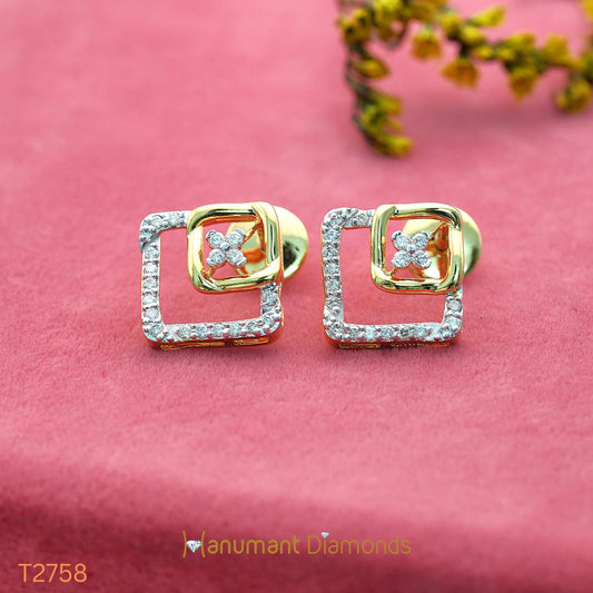 Earrings - T2758